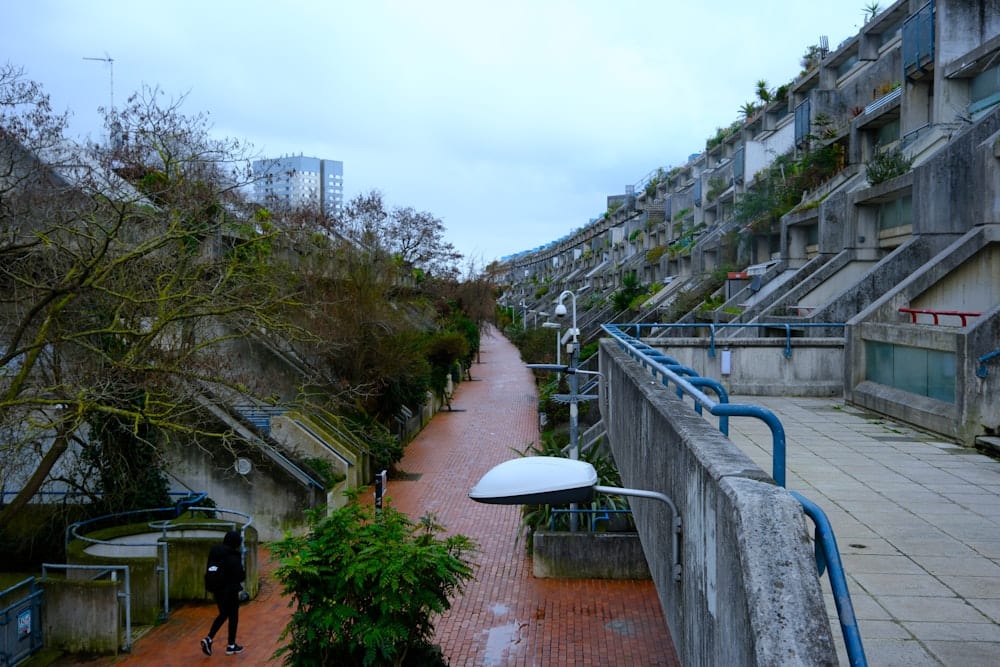 Wet path beside the river